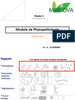 Mabiova Champignons 1 Phytopathogènes 2020-2021