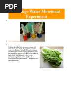 Cabbage Water Movement Experiment