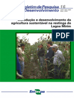 Introdução e Desenvolvimento Da Agricultura Na Restinga Da Lagoa Mirim