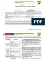 Programacion Curricular Anual - Palo 1