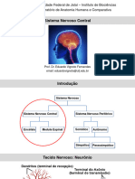 Aula 9 - Sistema Nervoso Central