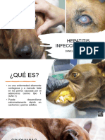 Hepatitis Infecciosa Canina