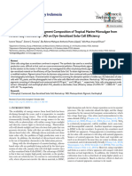 Effect of Photosynthetic Pigment Composi