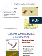 Streptococcus y Enterococcus