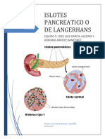 Anatomia