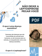 Leptospirose