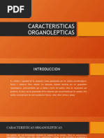 Caracteristicas Organolepticas