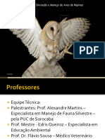 Curso de Aves de Rapina Aula Teorica IBIMM