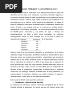 Informe Del Caso (3 y 4)