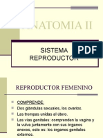 Aparato Reproductor