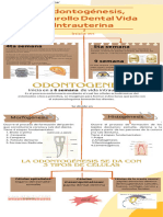 Mapa Conceptual