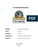 ENSAYO DE INVESTIGACION D Diplomatico