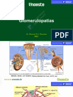 Glomerulopatias 1 e 2 Curso-Copiar