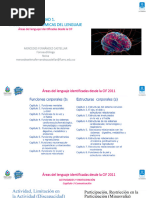 Áreas Del Lenguaje Identificadas Desde La CIF