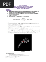 Lecture 6 Photosynthesis