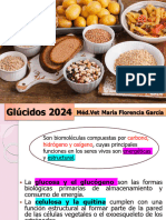 APO 3 Glucidos