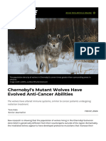 Chernobyl's Mutant Wolves Have Evolved Anti-Cancer Abilities