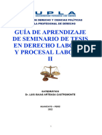 Seminario de Tesis 2 (Guia de Aprendisaje)