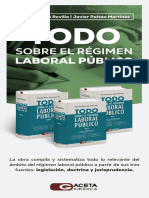 Todo Sobre El Regimen Laboral Publico Ce