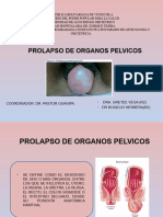 Diapositivas Ginecología