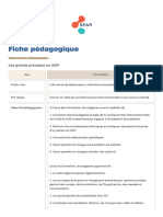 Fiche Pedagogique Les Grands Principes en SSPI