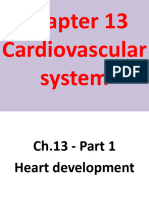 Cardiovascular System-13 (Muhadharaty)