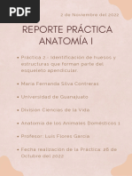 Practica 2 Anatomía