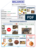 7 - Fiche Balance A3 - Version 1