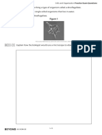 Cells and Organisation Practice Exam Questions Higher Home Learning