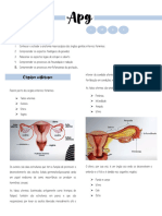 Apg s14p2 - Gravidez