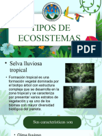 Tipos de Ecosistemas