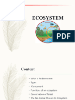 Ecosystem