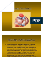 Sistema Circulatório