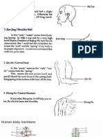 Chinese Meridians Book