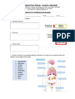 Actividades Complementarias Al Proyecto Interdisciplinario - 4