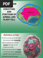 MODULE - 4 - Introduction To Cell Structure and Functions of Animal and Plant Cell