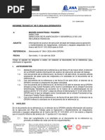 1 - PLANTILLA INFORME TECNICO RESPUESTA A DIRECTOR 11 PREGUNTASvf