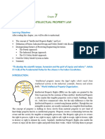 Chapter 7 Intellectual Property Law