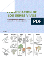 Clasificacion de Los Seres Vivos