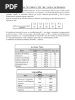 Caso Práctico - Viabilidad Del Un Proyecto