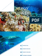 ENERGY FLOW IN MARINE ECOSYSTEM WPS Office