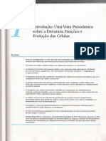 Introdução - Uma Vista Panorâmica Sobre A Estrutura, Funções E Evolução Da Célula