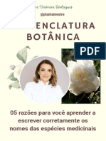 Por Que Escrever Corretamente Os Nomes Das Plantas Medicianis