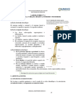 2019 Manual de Laboratorio Macroanatomia 2019 PDF