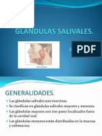 Glandulas Salivales