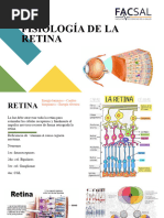 Fisiologia de La Retina