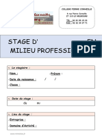 Modele Rapport Stage