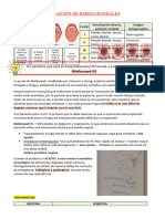 Evaluación de Pares Craneales - 20.10.23