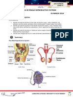 LXL - Gr12LifeSciences - 05 - Structure of Male and Female Reproductive Systems - 05mar2014