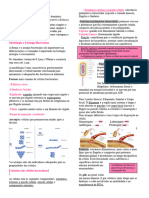 Resumo Bacteriologia 